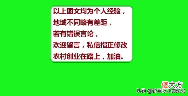 一个有效的土办法分享 最有效的土方法