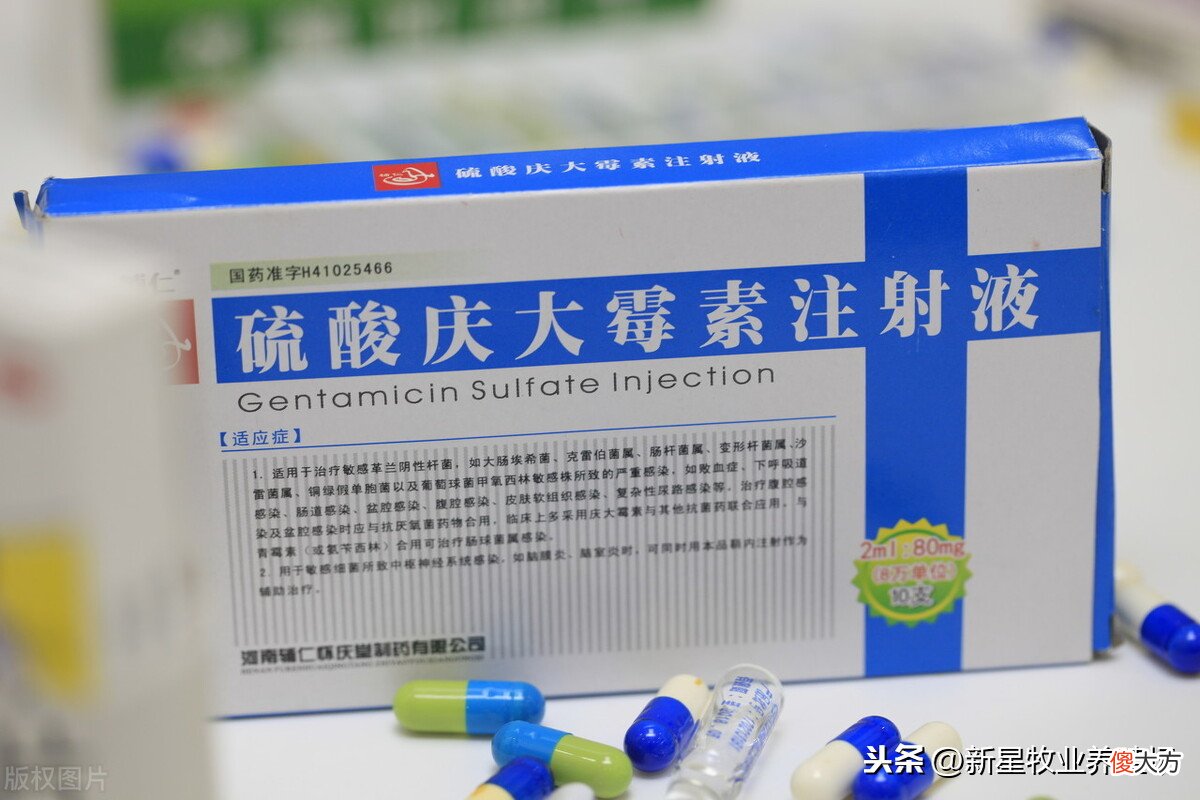 一个有效的土办法分享 最有效的土方法