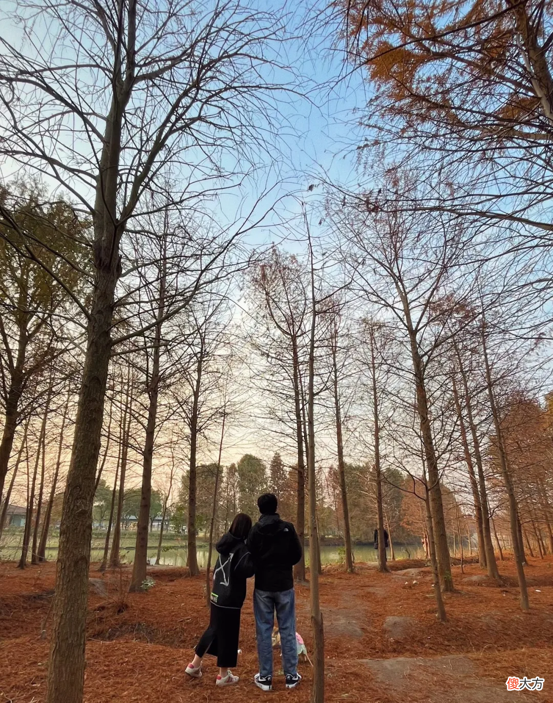 “抱住他的时候,他比我抱得更紧”| 34个成年人的充电时刻