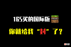 【游戏世界】我的世界：165买的mc，官方就封了？浅谈Minecraft举报机制的影响