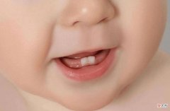 宝宝六个月长的乳牙，如何做好科学护理工作，关系到后期换牙问题