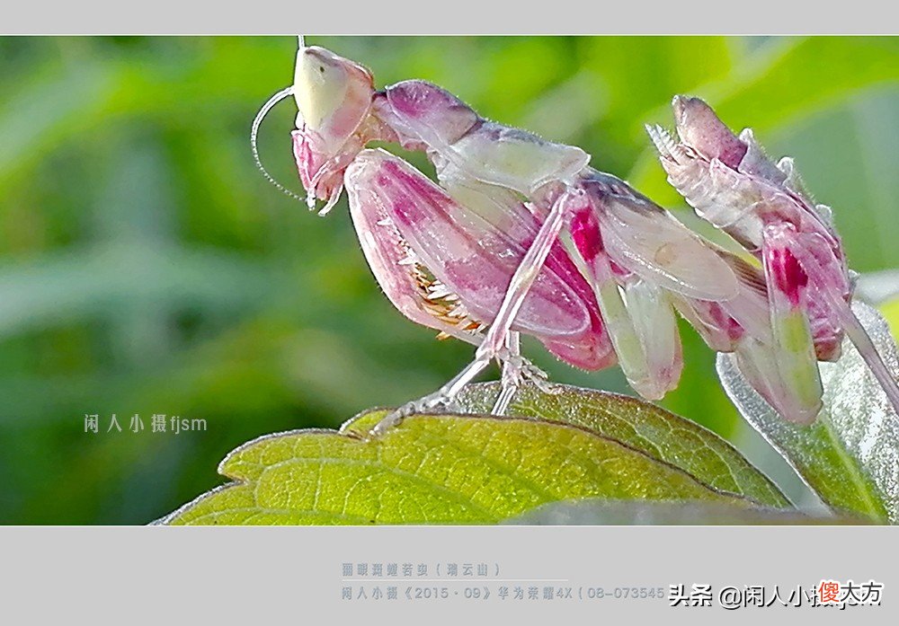 用什么样的手机才能拍摄出好看的照片 什么手机拍健身照好