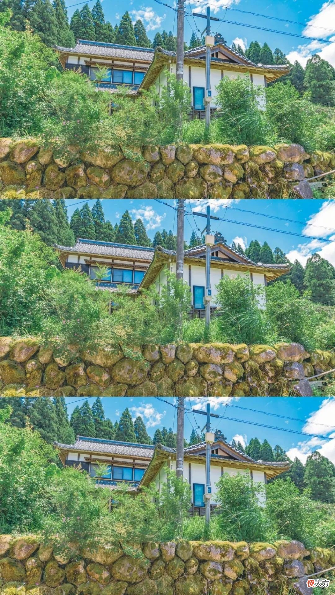 高质量手机壁纸 手机里什么样的壁纸好