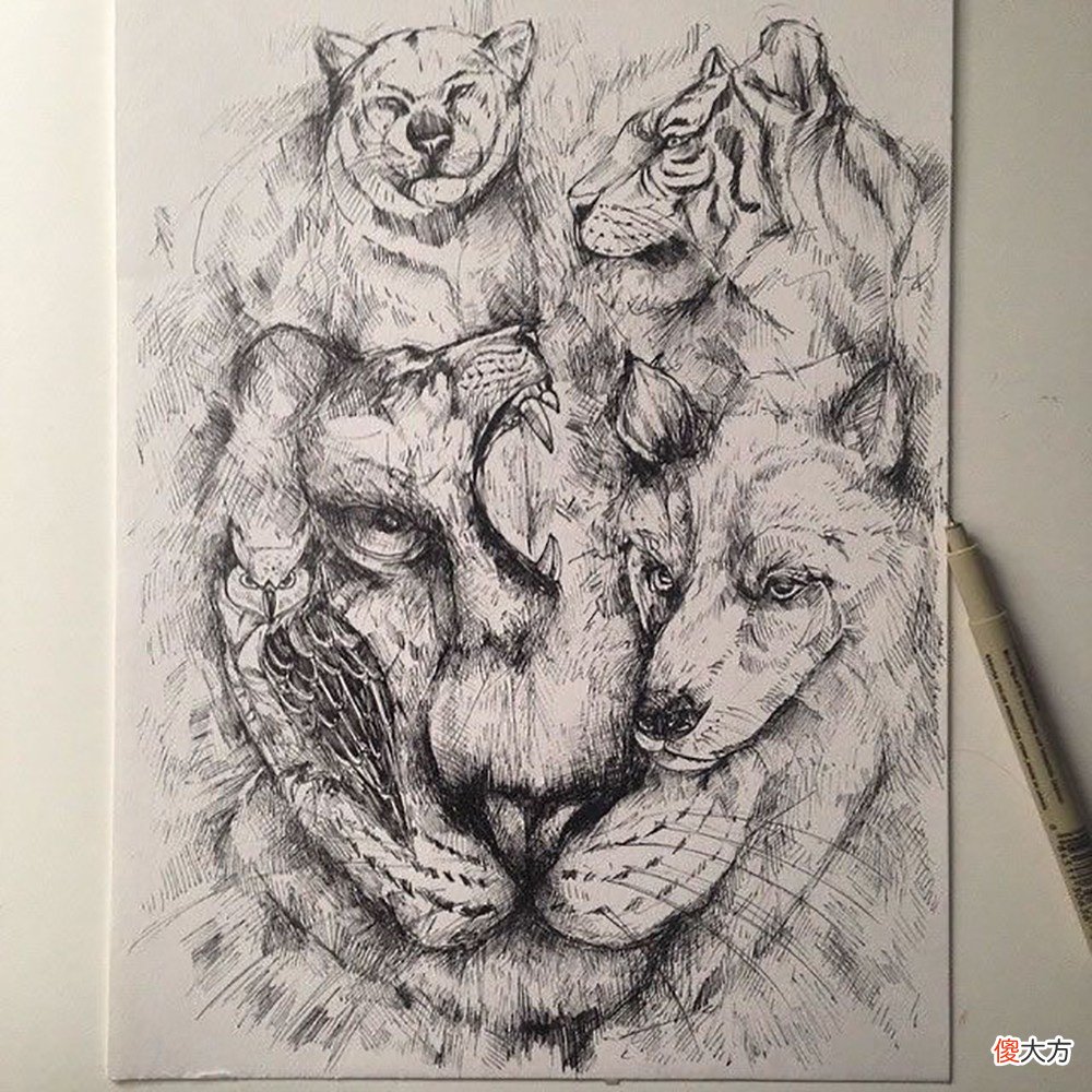 就画出精湛的动物插画 插画 动物