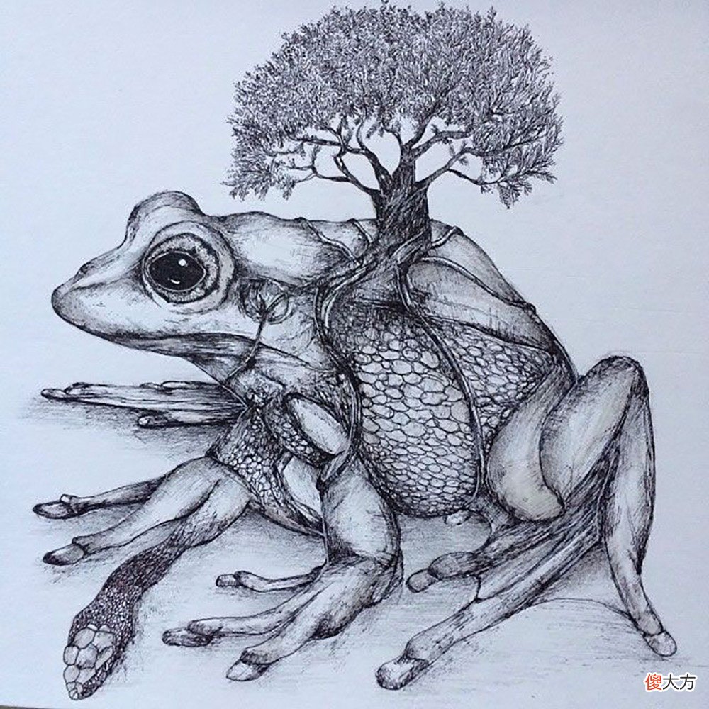 就画出精湛的动物插画 插画 动物