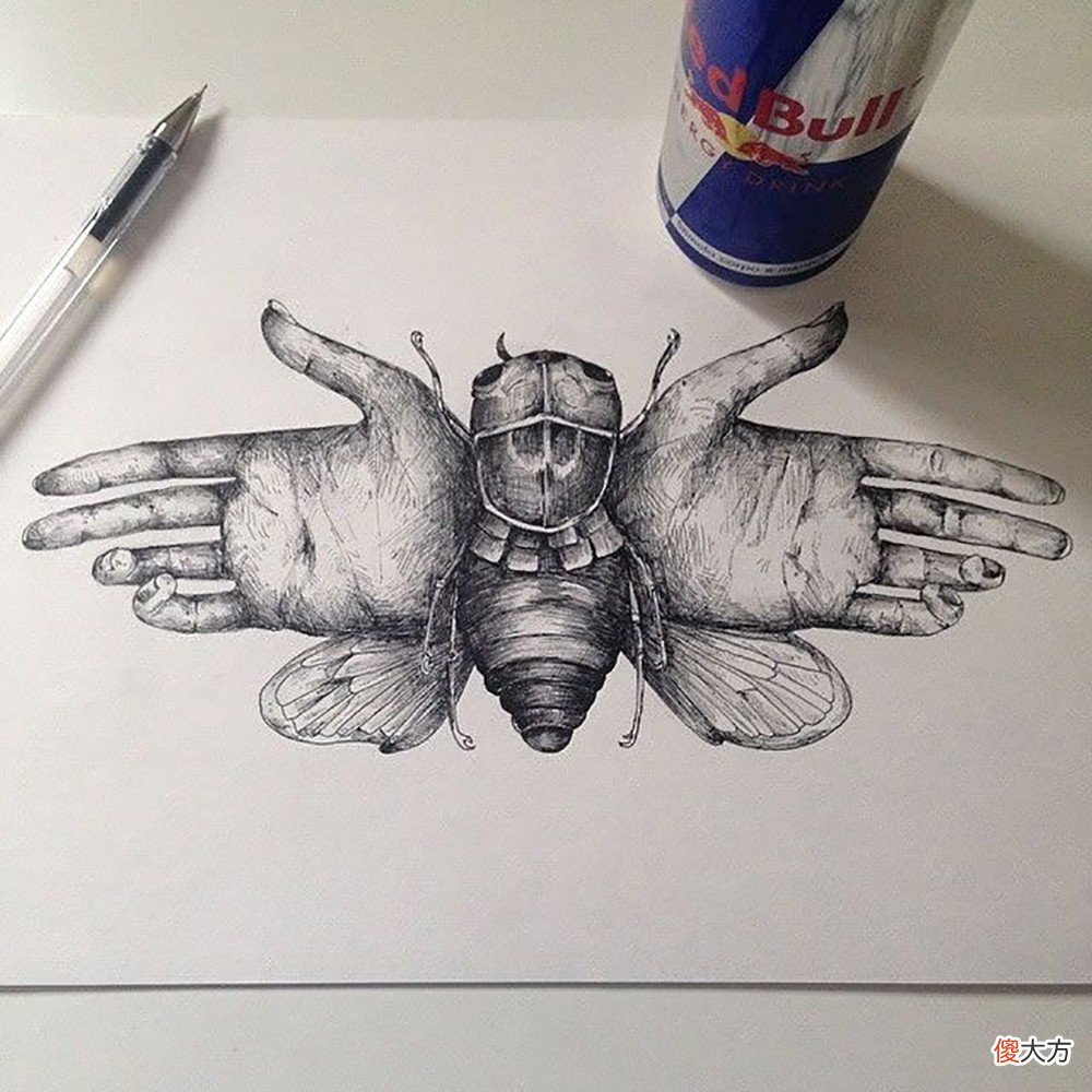 就画出精湛的动物插画 插画 动物