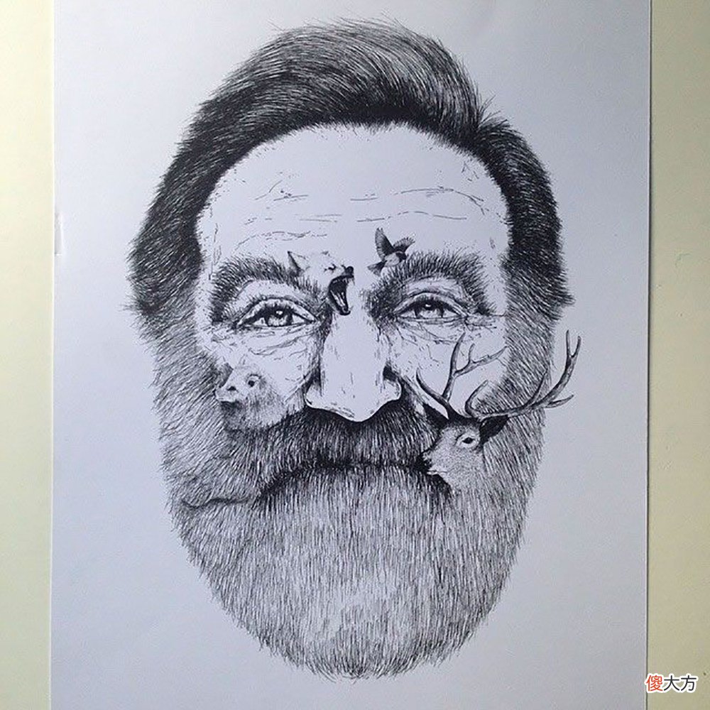就画出精湛的动物插画 插画 动物