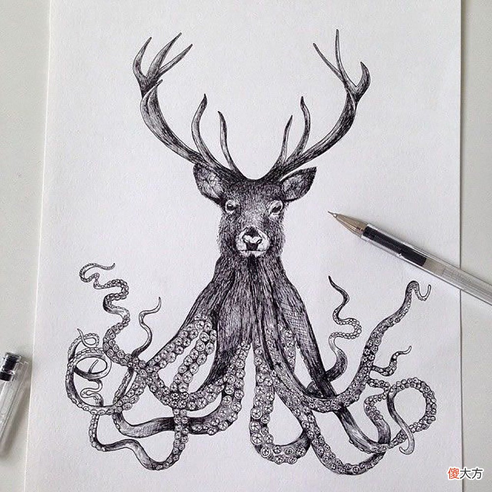 就画出精湛的动物插画 插画 动物