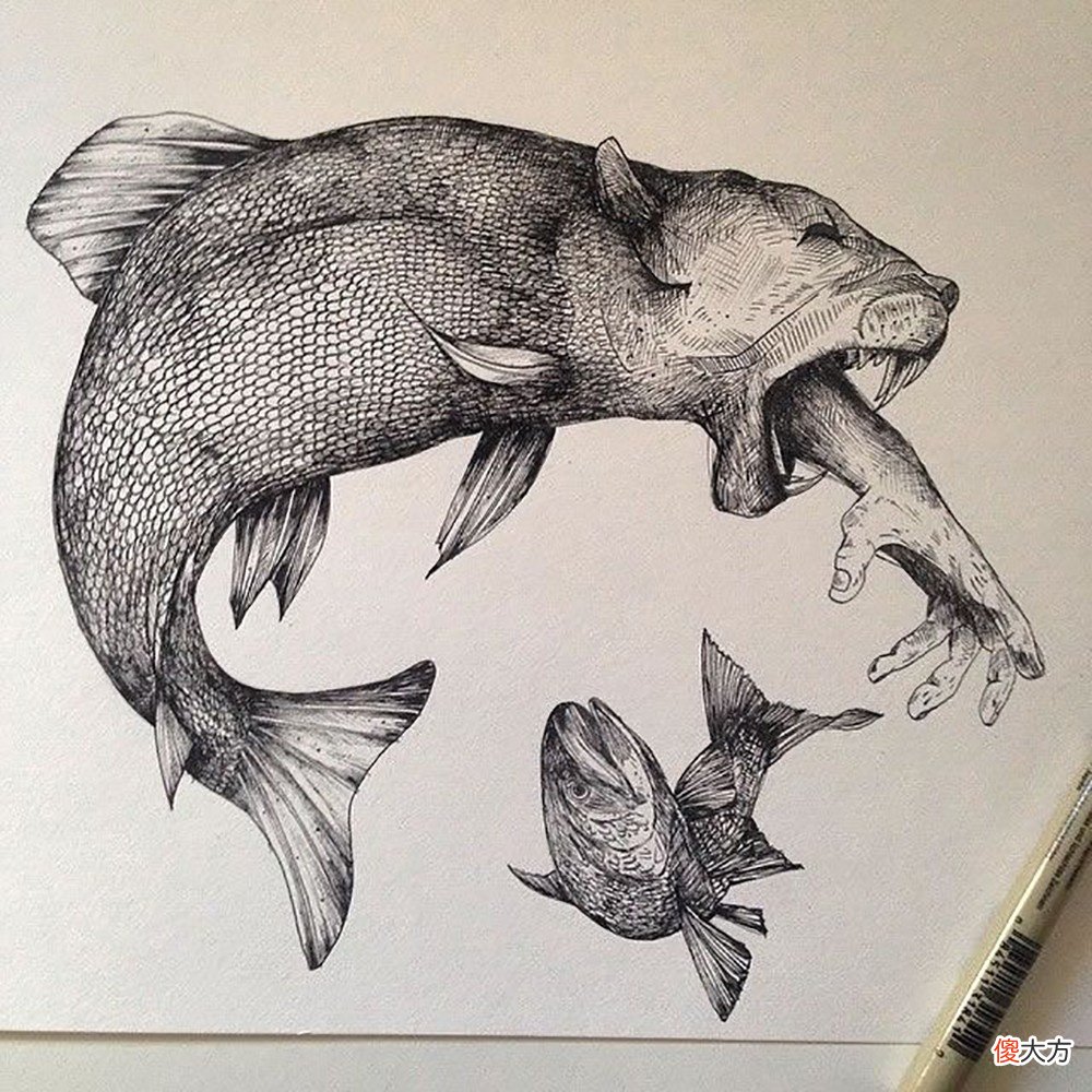 就画出精湛的动物插画 插画 动物