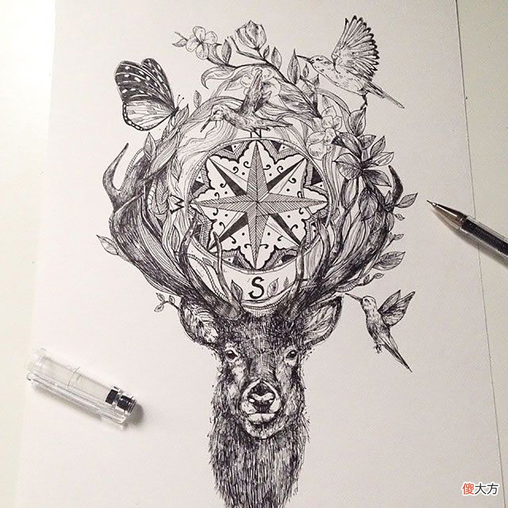 就画出精湛的动物插画 插画 动物