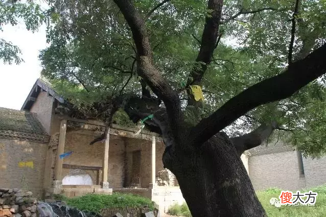 历史上的长平之战 历史上的长平之战百科