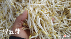 发的豆芽变绿 发的豆芽变绿了能吃吗