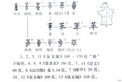 皮与革有何区别 皮与革如何区别