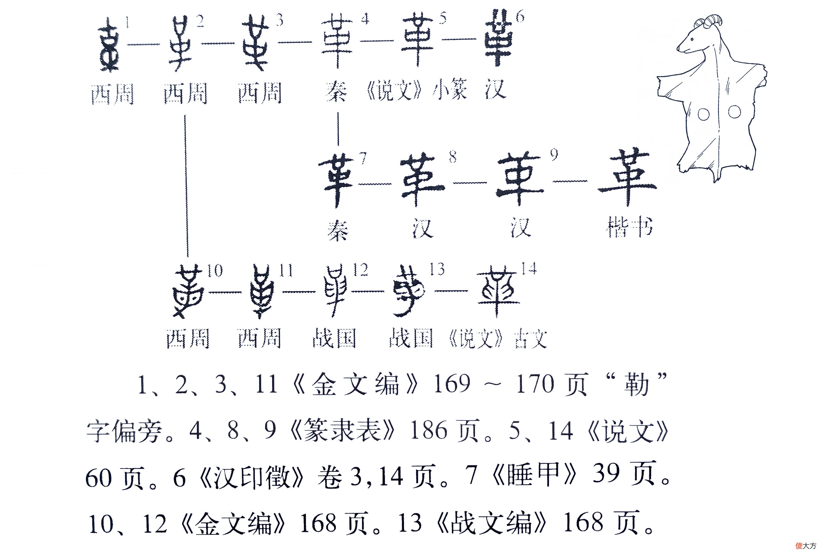 皮与革有何区别 皮与革如何区别