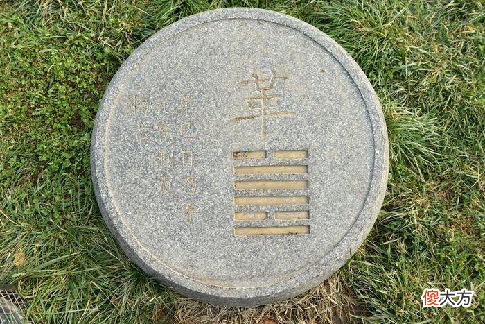 皮与革有何区别 皮与革如何区别