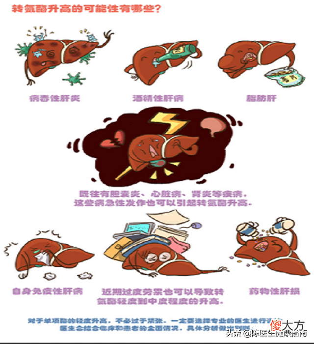 转氨酶高是肝炎吗 肝脏转氨酶高是肝炎吗