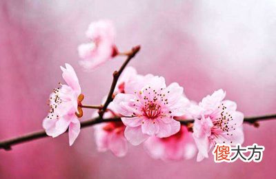 看女人桃花最旺的6个时间点