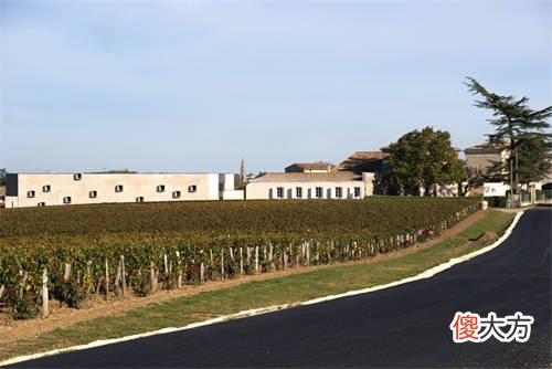 2014年梅乐葡萄酒 梅乐干红葡萄酒好喝吗