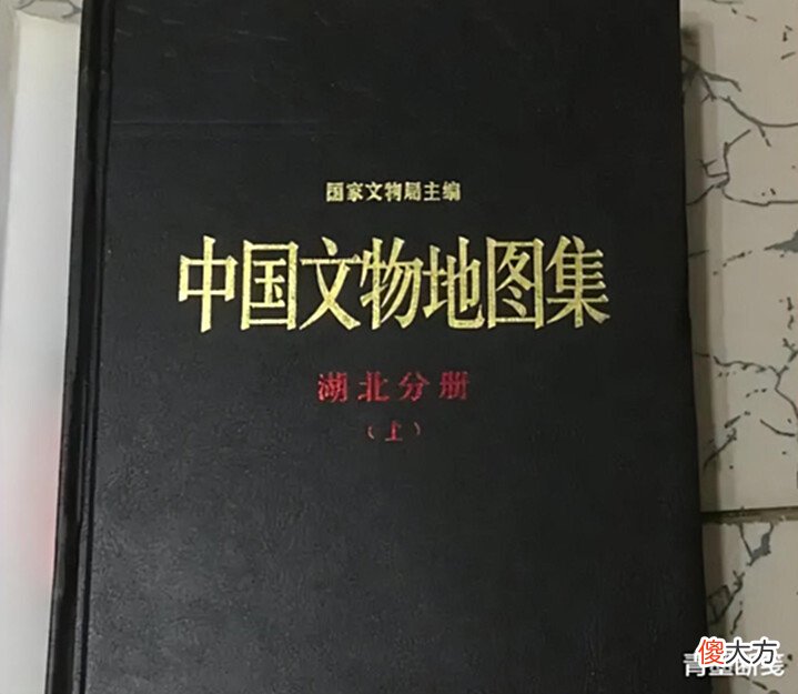 【爱历史】揭秘当代盗墓技术:高度职业化,河南、陕西、山西已形成高危地区