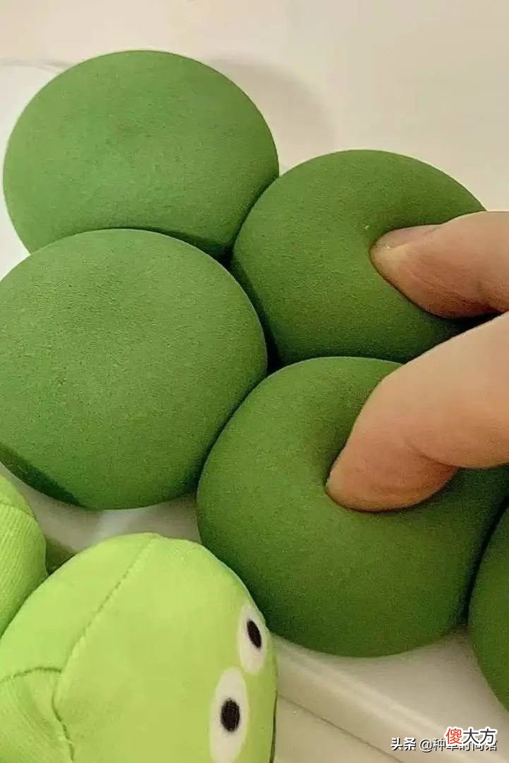你的手机壳该换了 旧手机壳换什么好