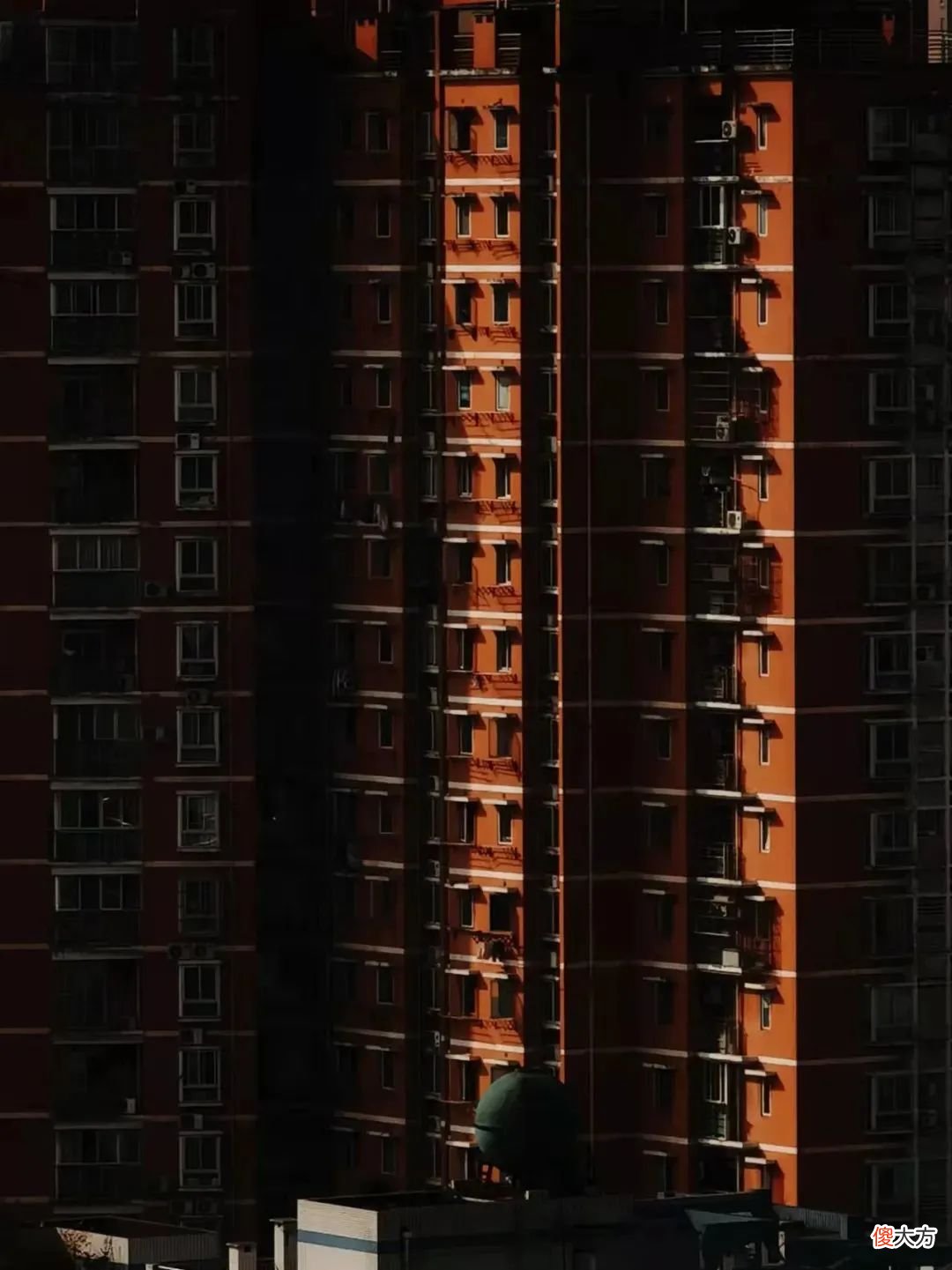 想学好手机摄影 手机拍照好靠什么
