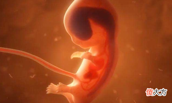 孩子的身高是随爹还是随妈 孩子的身高随爸还是随妈