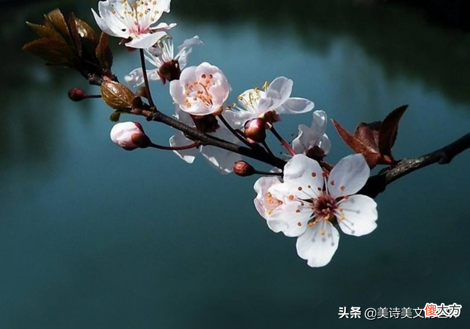 "沾衣欲湿杏花雨"中"杏花雨"到底何意 沾衣欲湿杏花雨的意思