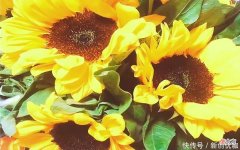 【十二星座】6.25-7.2运势提点，天降财运，事业兴旺，多财多福的三个生肖
