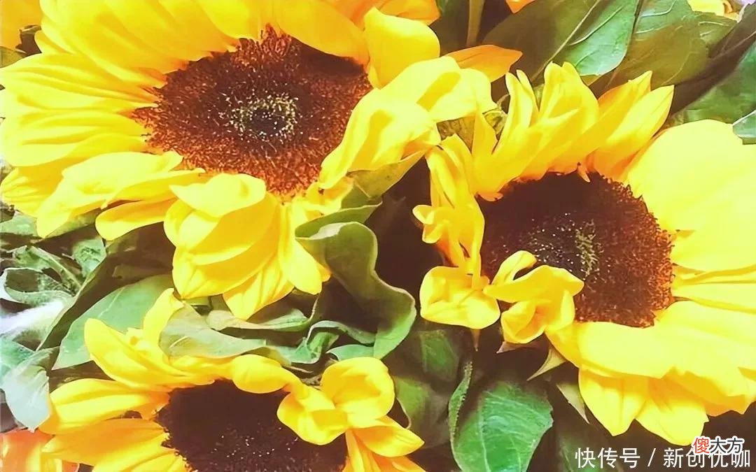 【十二星座】6.25-7.2运势提点，天降财运，事业兴旺，多财多福的三个生肖