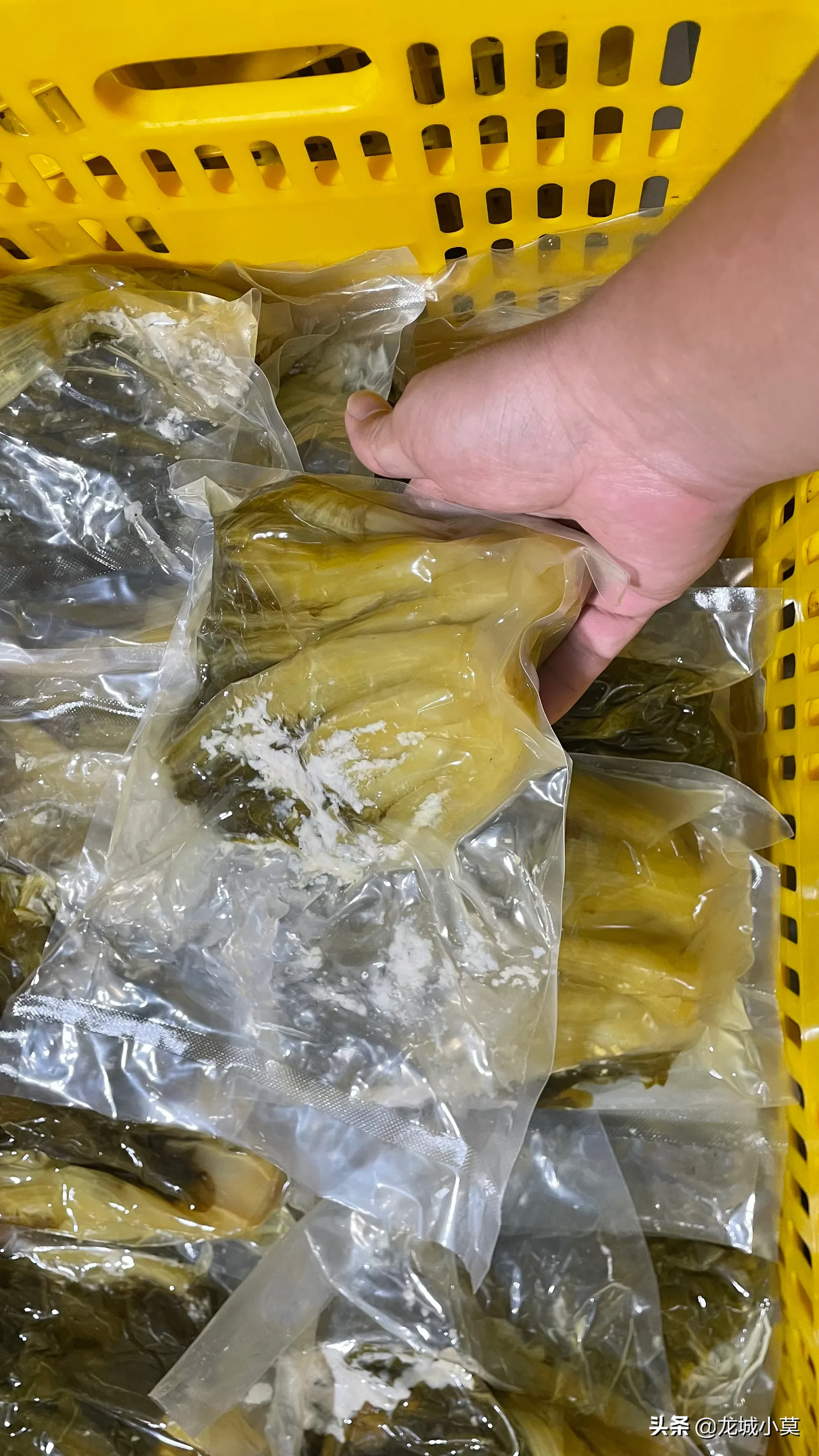 最近开发了一套制作酸菜的方法，可以做到损耗10%以下，良品率98%以上！