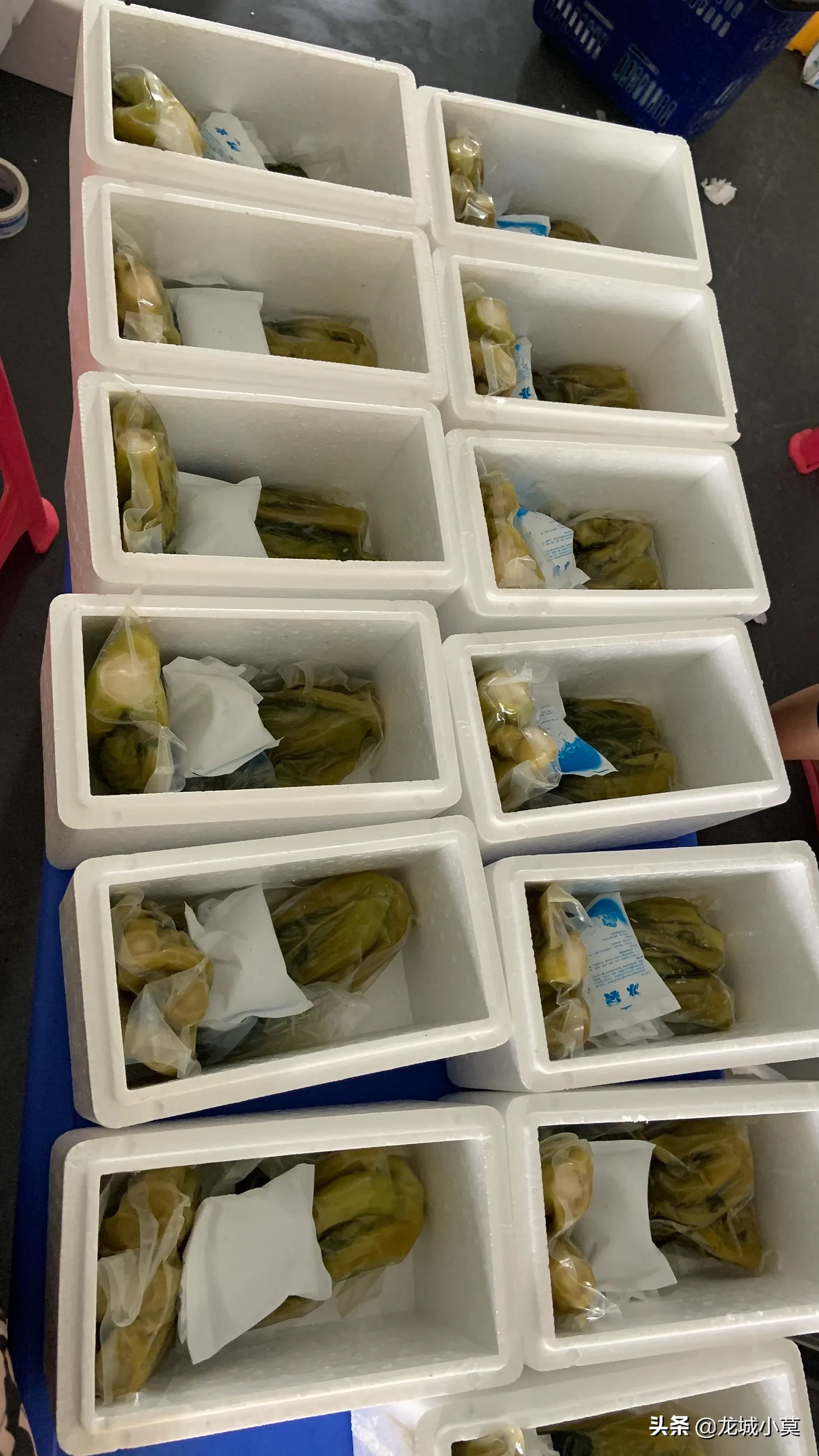 最近开发了一套制作酸菜的方法，可以做到损耗10%以下，良品率98%以上！