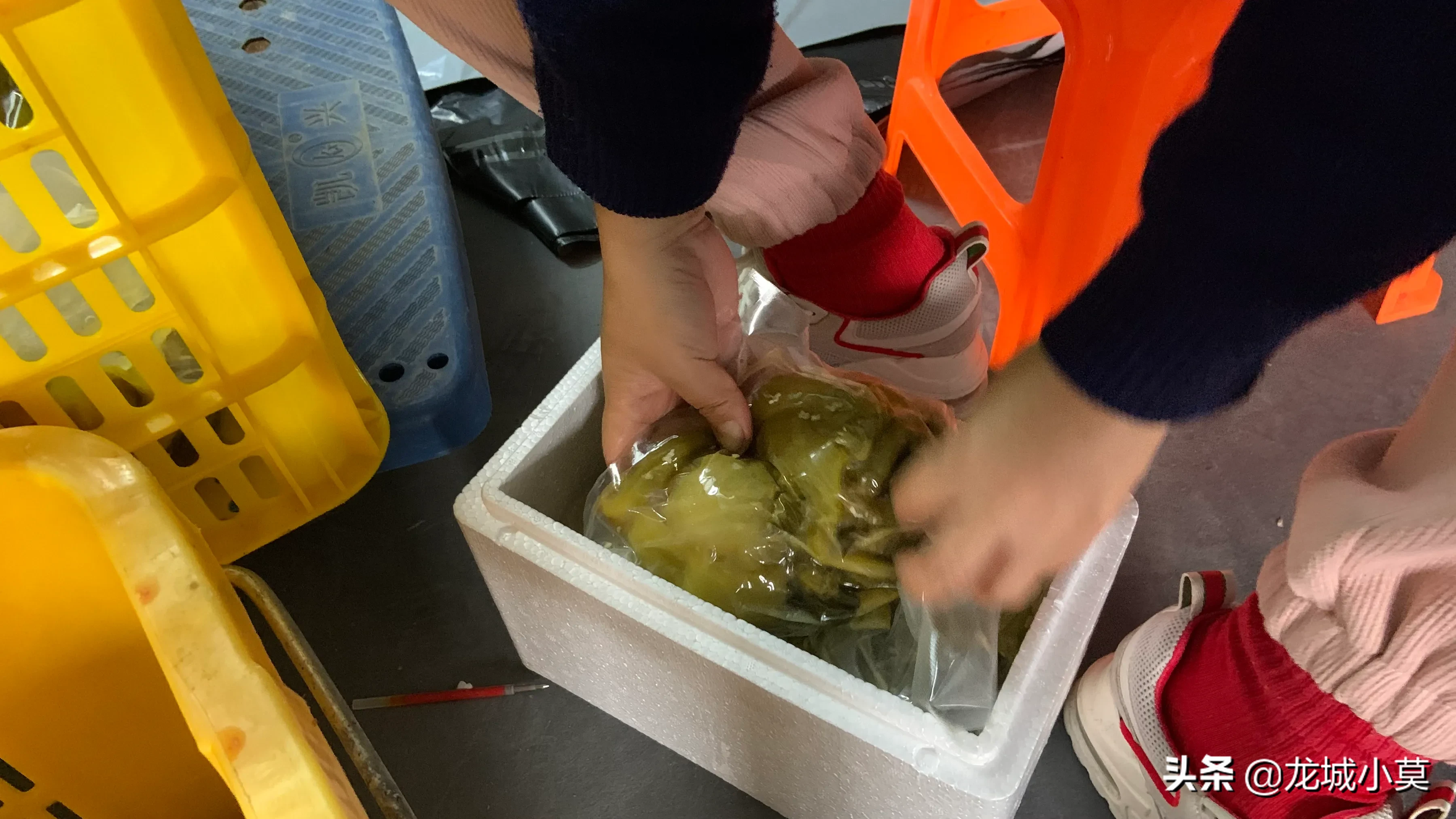 最近开发了一套制作酸菜的方法，可以做到损耗10%以下，良品率98%以上！
