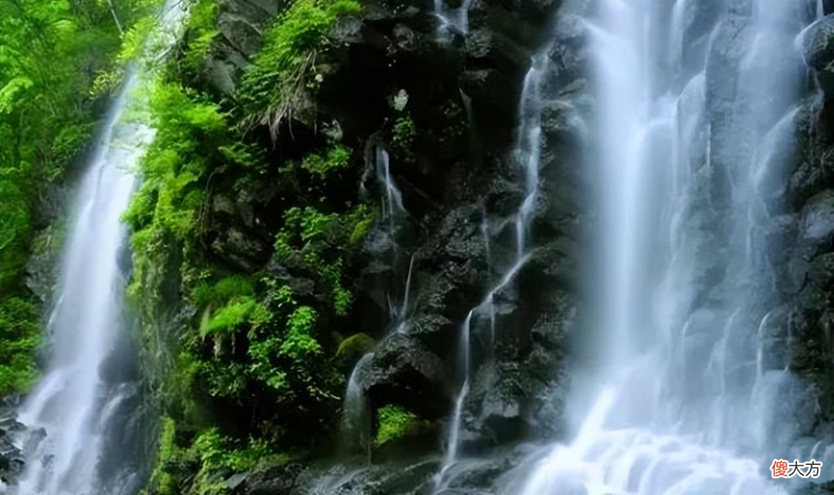 一条溪流的自述 一条小溪的自述