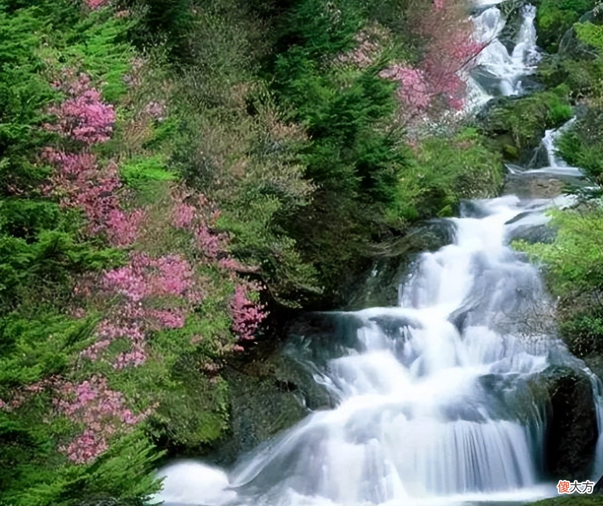 一条溪流的自述 一条小溪的自述