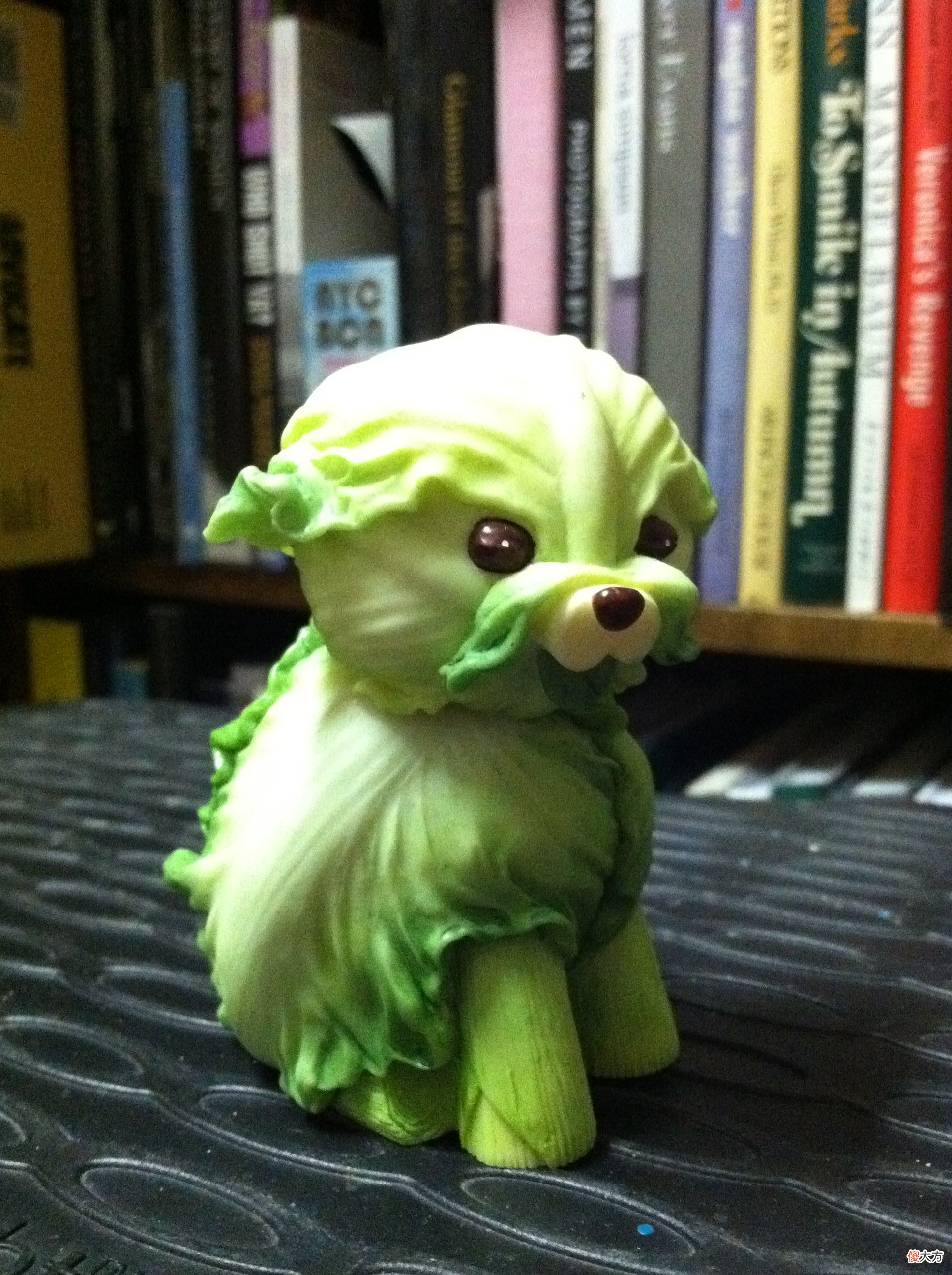 狗能吃生菜吗 狗可以吃生菜吗