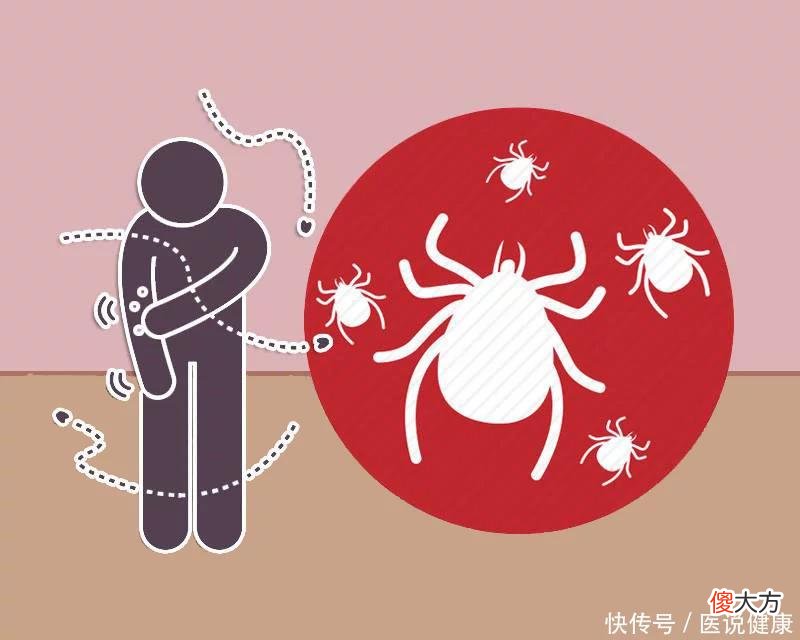 【就爱时尚】研究称面部螨虫与人类将合体？这3种迹象，都暗示脸上螨虫过多