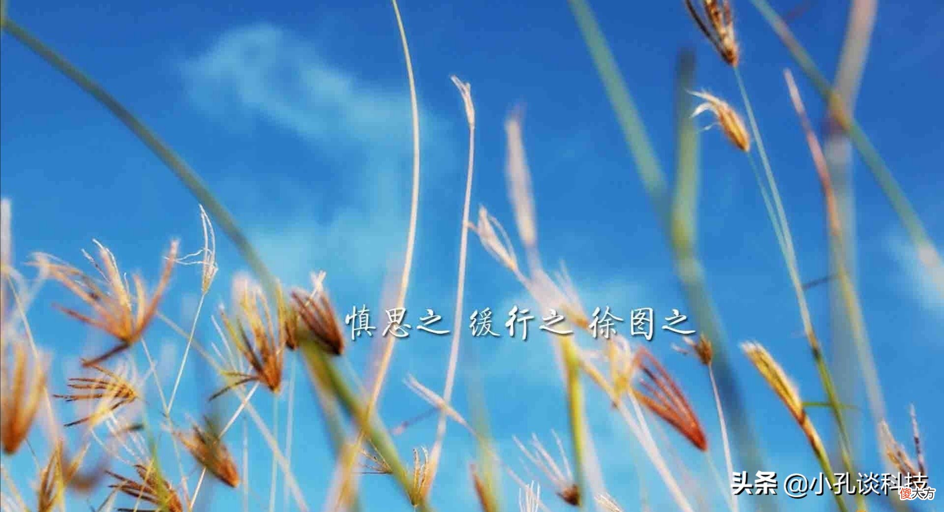 高考中考过后手机推荐 中考毕业了买什么手机好