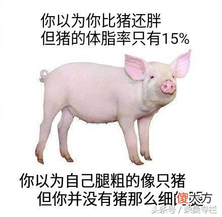 猪肉是最不健康最发胖的吗 猪肉是最容易长胖的东西吗