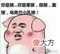 猪肉是最不健康最发胖的吗 猪肉是最容易长胖的东西吗