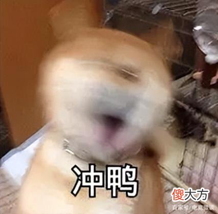 【游戏迷】永劫无间职业联赛：版本之子妖刀姬获最高场均得分！这些技巧得学