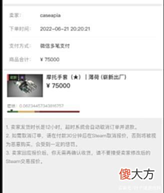 【游戏迷】CSGO账号被盗,迪拜土豪损失1340万元!中国玩家接盘遭V社回收