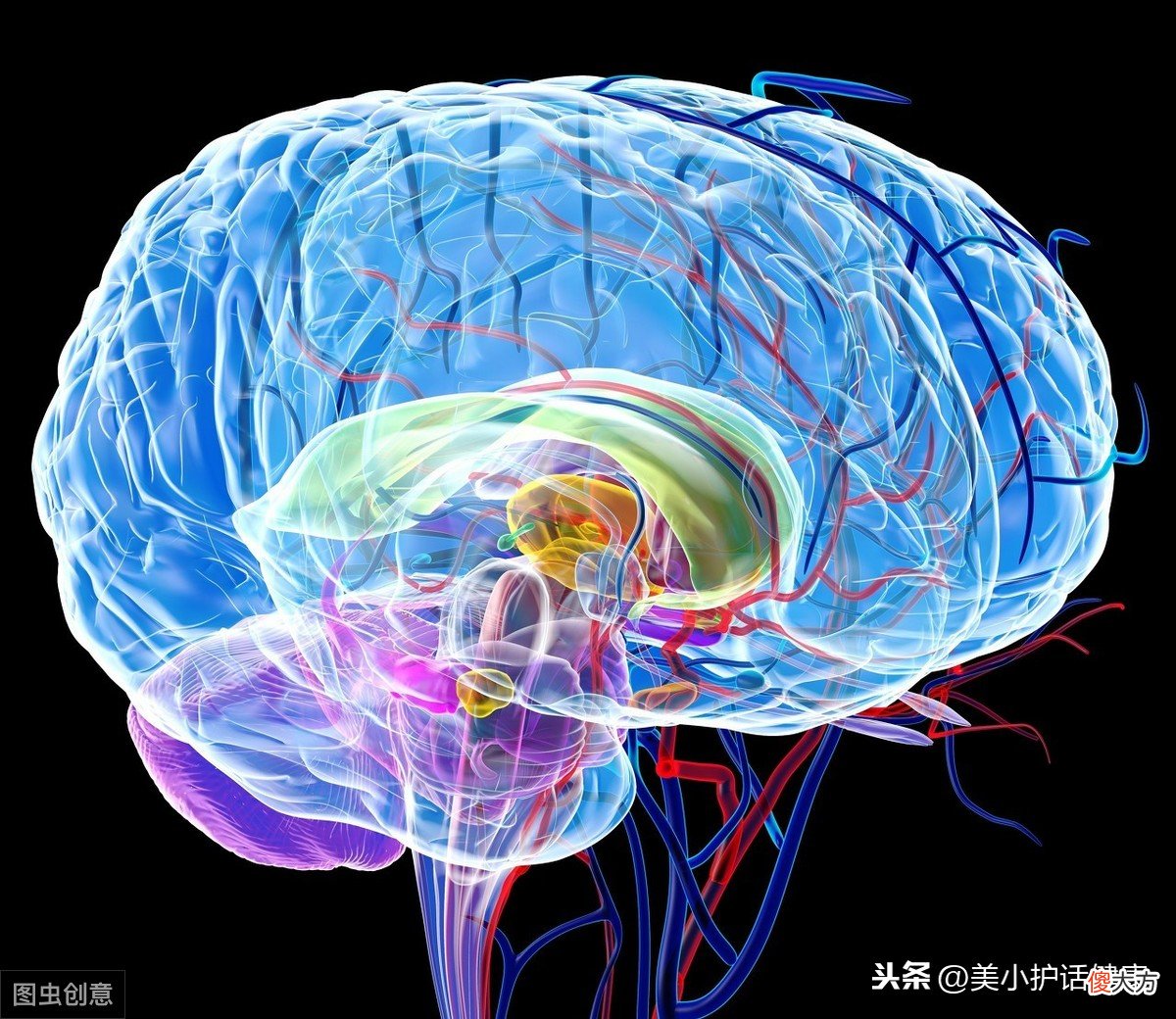 面对老年痴呆症我们能做些什么 老年痴呆手机里做什么好