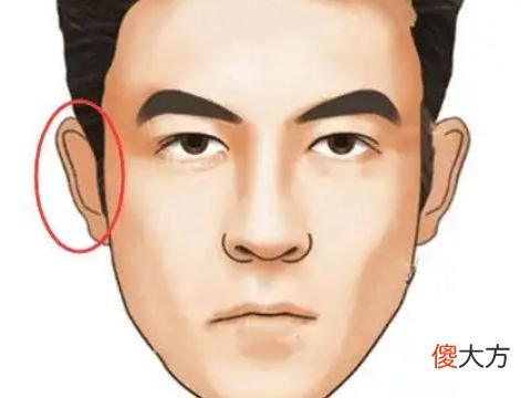 耳朵有肉的男人面相好不好