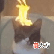 【游戏迷】价值1342万的超级账号被盗，官方为其恢复，却得罪了所有玩家