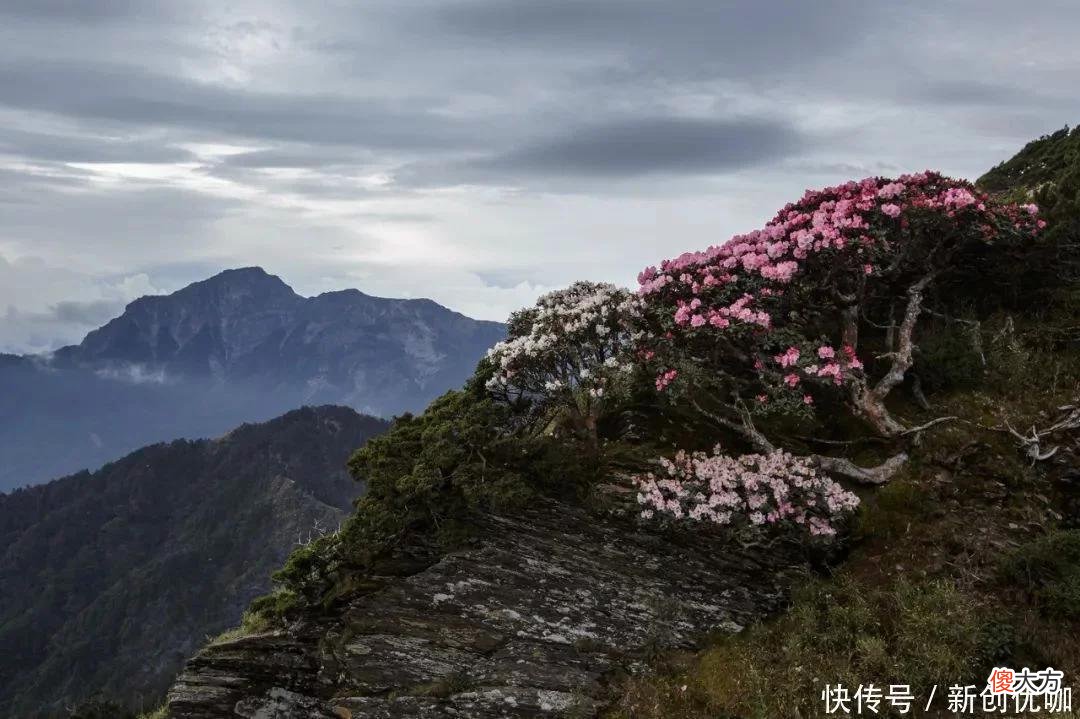 【星座控】7月初，爱神垂爱，桃花四起，将遇见意中人，顺利脱单的三个生肖