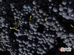 开一个专卖红酒的店怎么样 开家宾馆利润怎么样