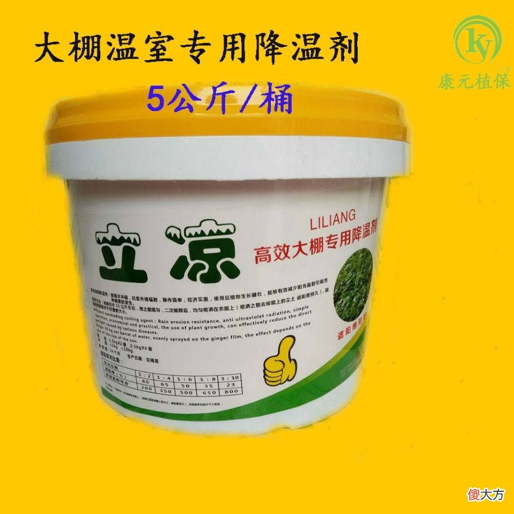 他们家的菜棚夏季温度比别家低八度，原因在这里用了这个材料