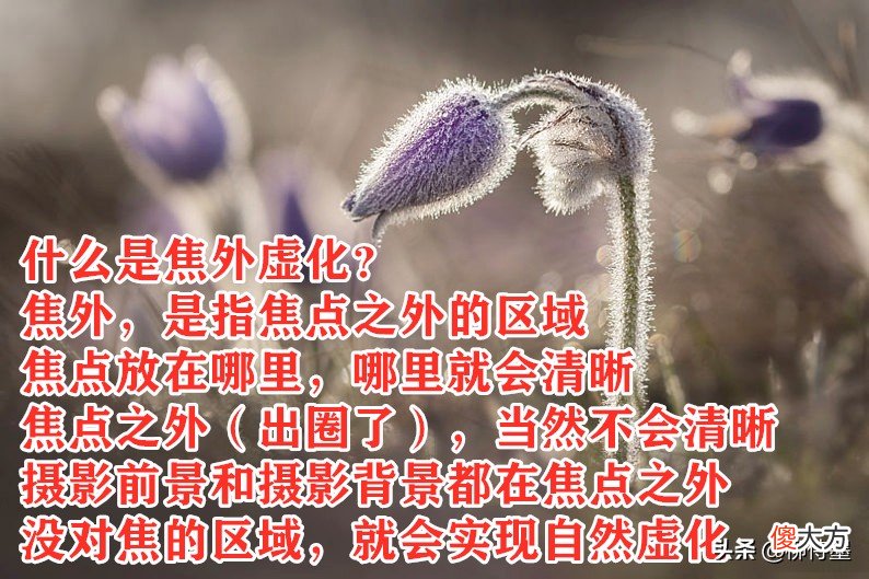 手机 我妈问我你拍得比我好，是因为你的手机比我的贵吧？