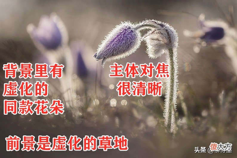 手机 我妈问我你拍得比我好，是因为你的手机比我的贵吧？