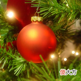 20种圣诞树上的小挂件的英文 圣诞树挂件 英文